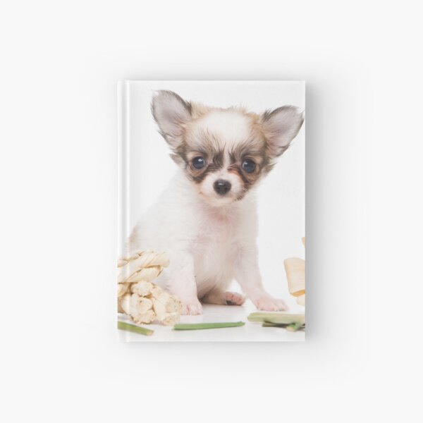 Item preview, Cute fluffy white dog puppy chihuahua designed and sold by utekhina.