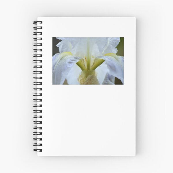 Item preview, White Iris designed and sold by Laurie Minor.