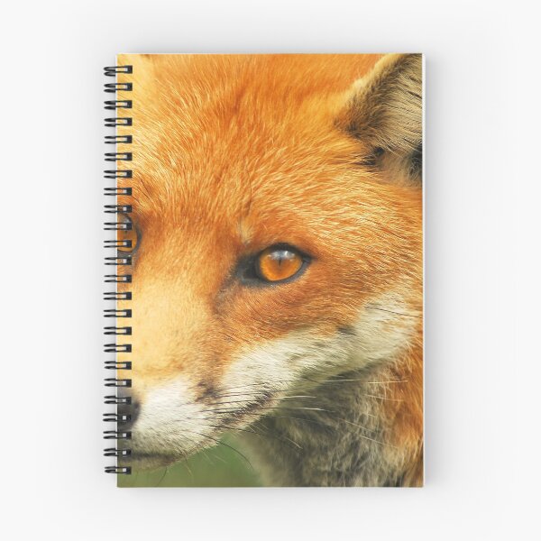Artikelvorschau, Foxy Lady entworfen und verkauft von Anthony Hedger Photography.
