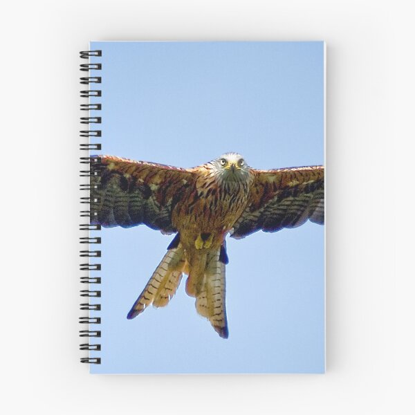 Item preview, The Red Kite designed and sold by Anthony Hedger Photography.