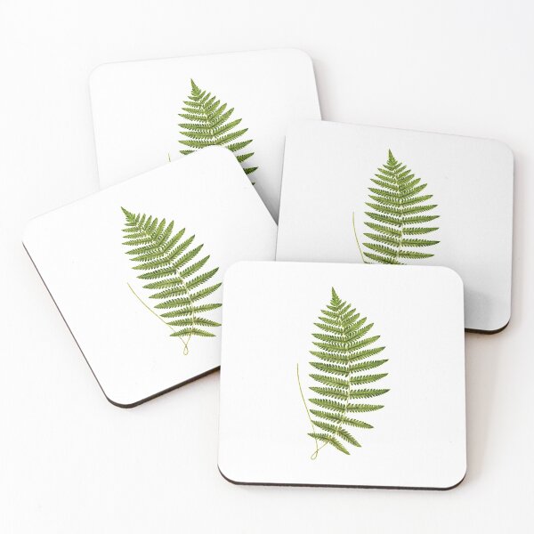 Item preview, Fern leaf scan designed and sold by Sprouts-Studio.