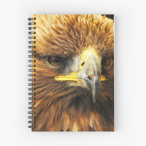 Item preview, Hawk designed and sold by Anthony Hedger Photography.
