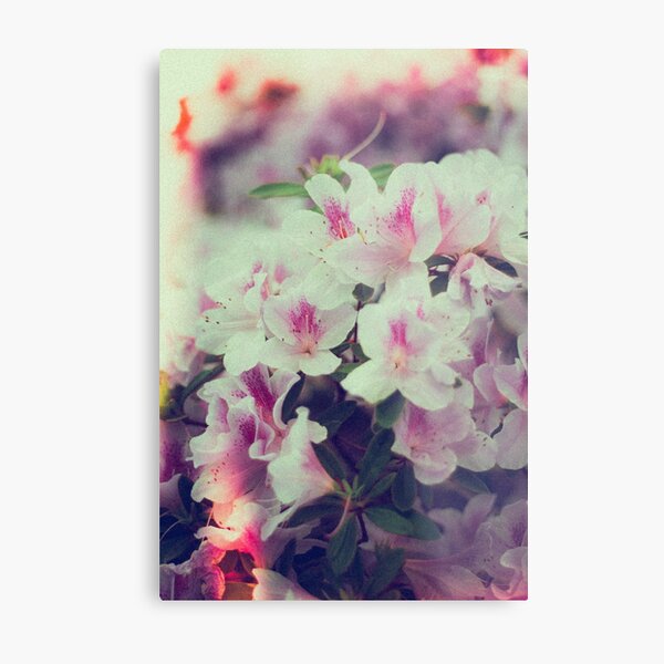Tenderness Metal Print