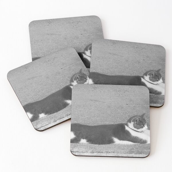 Item preview, Cat on concrete. designed and sold by Paul Pasco.