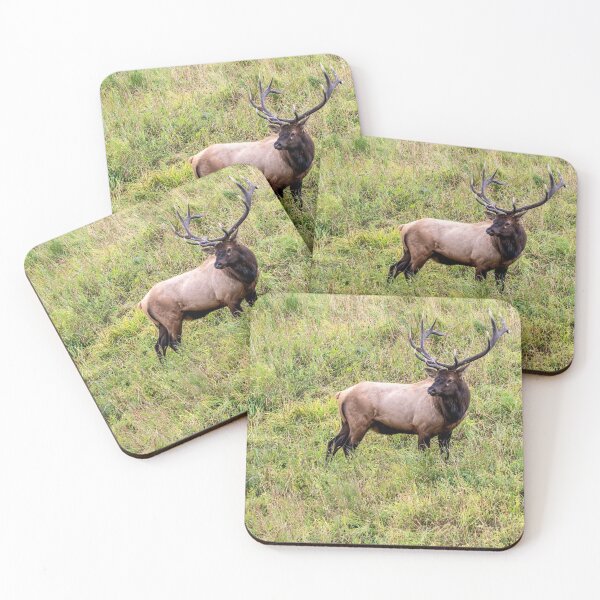 Item preview, Leter Buck Mejor Buck designed and sold by naturesdreams.