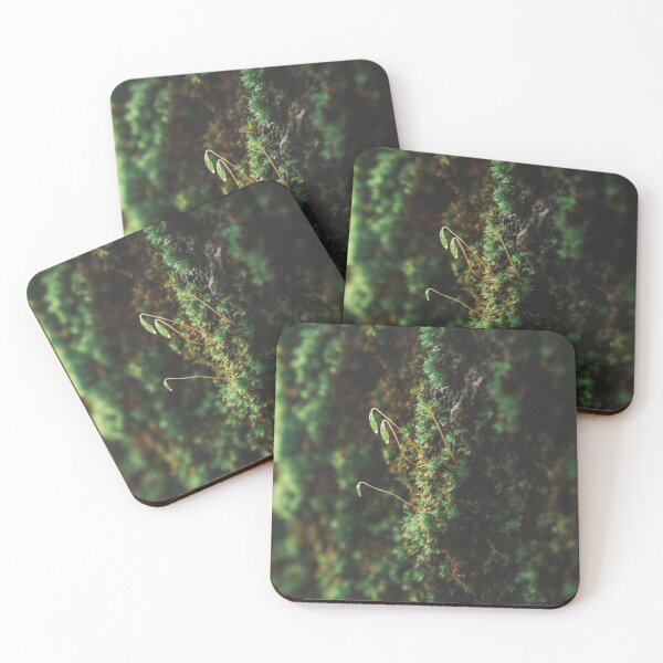 Item preview, Macro nature details designed and sold by danielbfsilva.