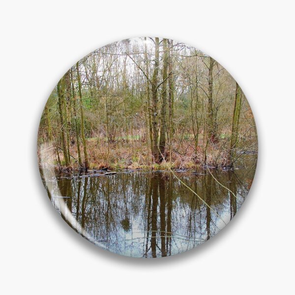 Aperçu de l'œuvre BIRCHWOOD POND REFLECTIONS. créée et vendue par ronsaunders47.
