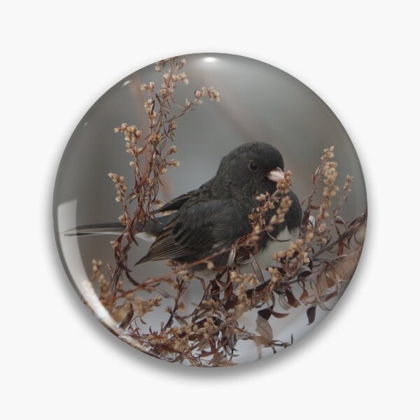 Item preview, Dark-eyed Junco Snacktime designed and sold by LisaNaturePhoto.