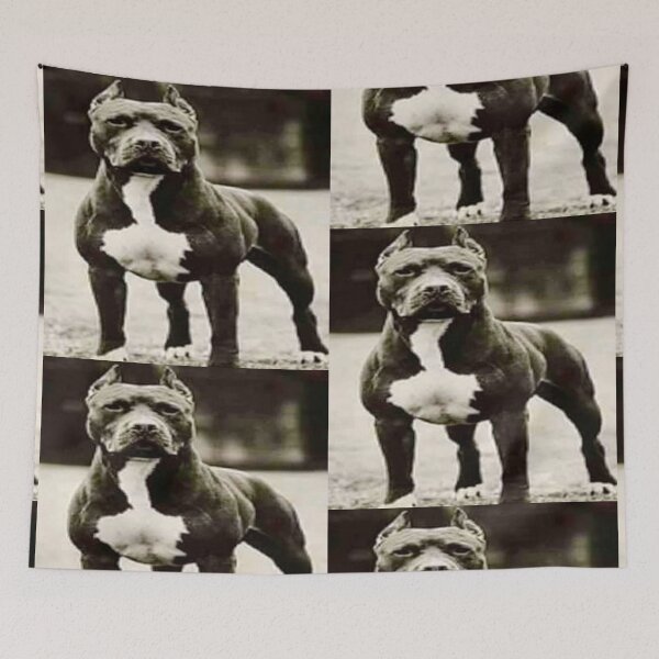 Item preview, Pit bull designed and sold by Albert Faldet.