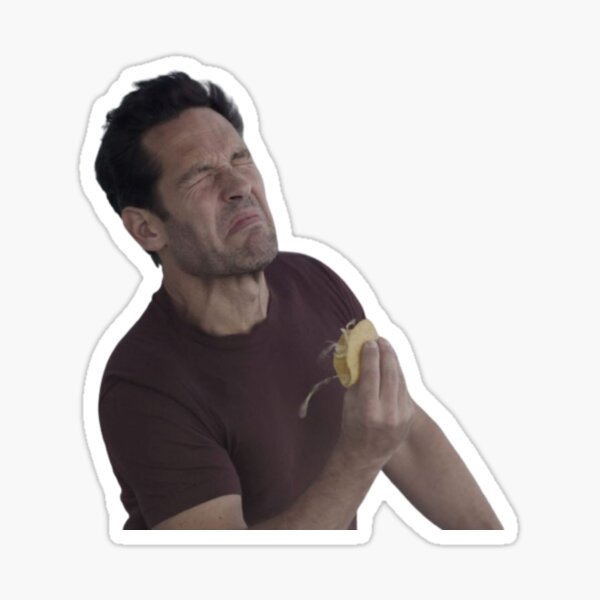 Scott Lang Taco Sticker