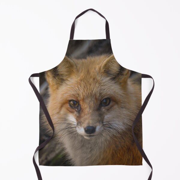 Item preview, sly red fox stare down designed and sold by aim4adventure.