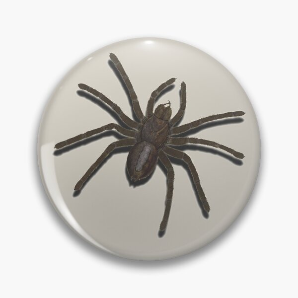 Item preview, spider  designed and sold by sandpiperstudio.