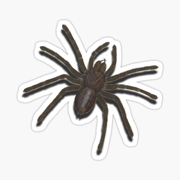 Item preview, spider  designed and sold by sandpiperstudio.