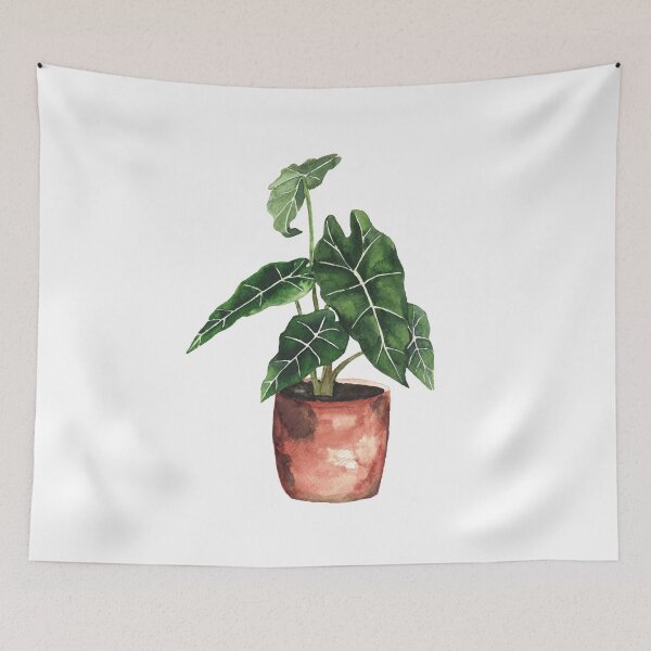 Item preview, Houseplant watercolor l Alocasia Bambino designed and sold by RubatoArts.
