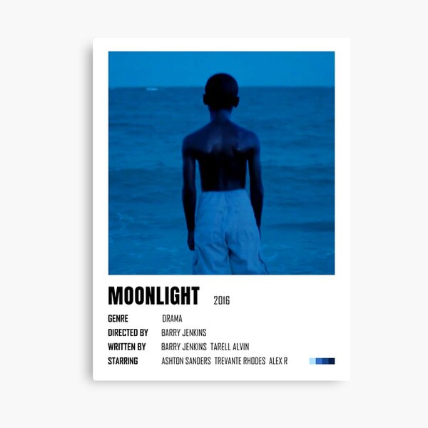 Moonlight minimalist poster Canvas Print