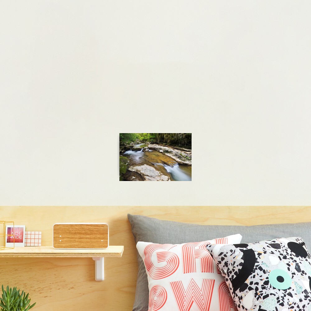 Springtime around Seran river Photographic Print
