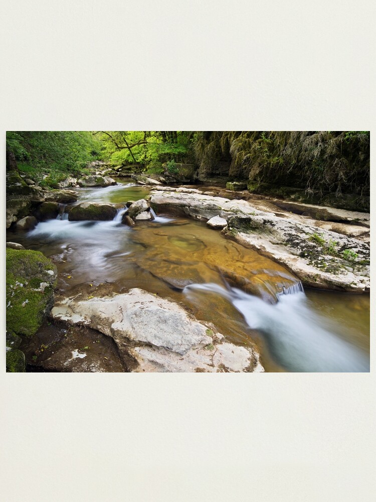 Alternate view of Springtime around Seran river Photographic Print