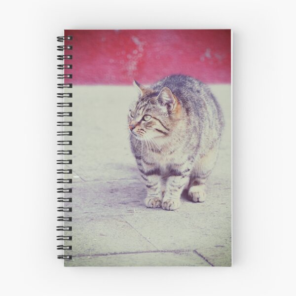 Item preview, ITALIAN CAT FOR CATLOVER PHOTOGRAPHY designed and sold by EMEICEA.