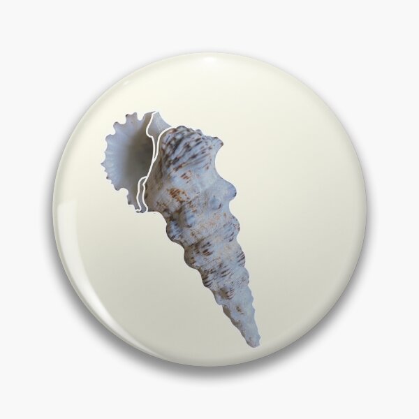 Item preview, Seashell designed and sold by emilianosaulm.