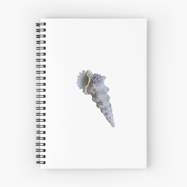 Item preview, Seashell designed and sold by emilianosaulm.