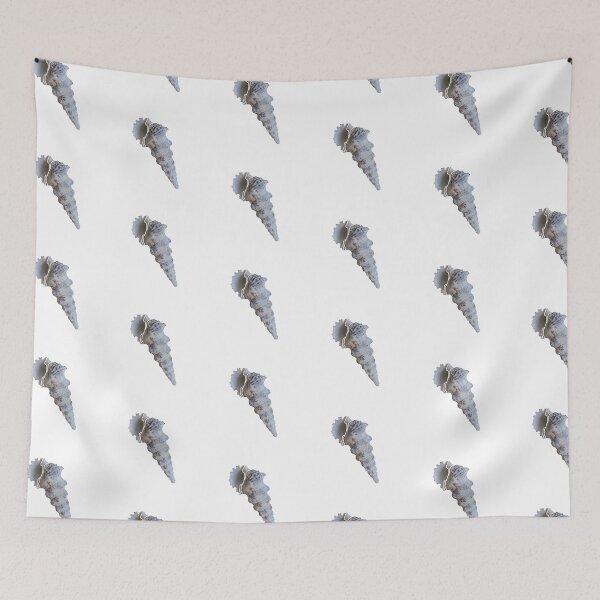 Item preview, Seashell designed and sold by emilianosaulm.