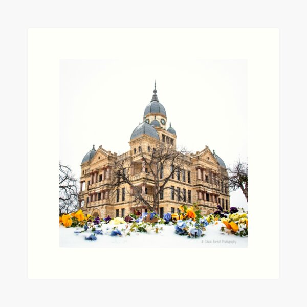 Winter Courthouse, flowers Art Print
