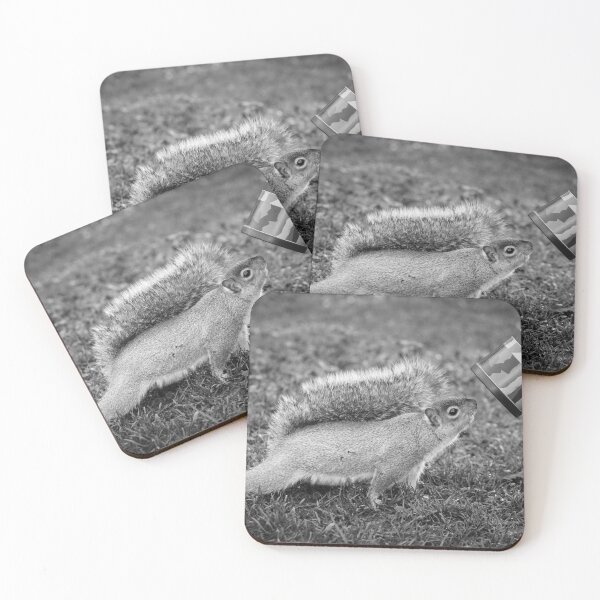 Item preview, Inquisitive Grey Squirrel designed and sold by heidipics.