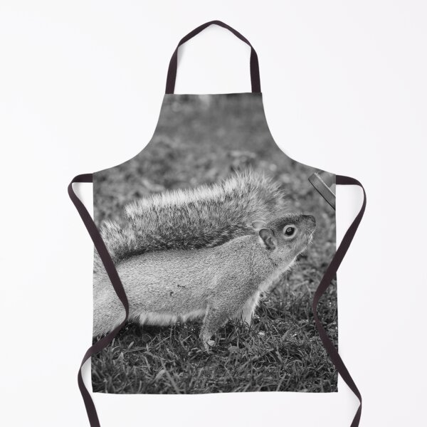 Item preview, Inquisitive Grey Squirrel designed and sold by heidipics.