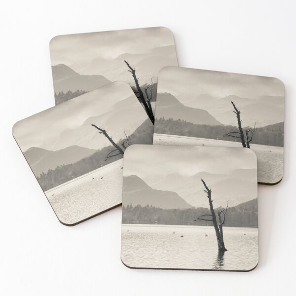 Item preview, Skeletal Tree at Ullswater in the Lake District designed and sold by heidipics.