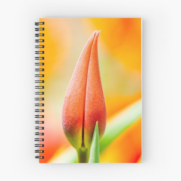 Item preview, Beautiful Spring is coming designed and sold by sjahreza.
