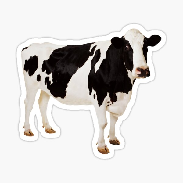 Vista previa del artículo con la obra «Vaca», diseñado y vendido por DoodleDashCollective.