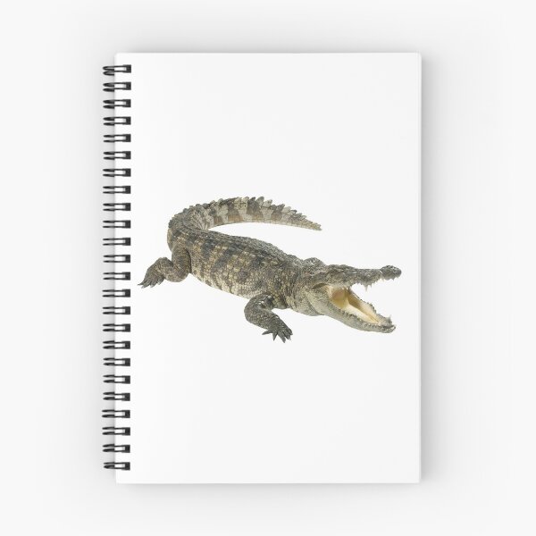 Aperçu de l'œuvre Crocodile! créée et vendue par DoodleDashCollective.