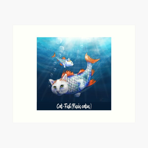 Cat-Fish (Piscis catus) Art Print