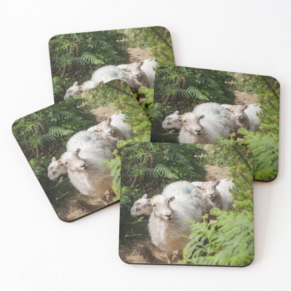 Item preview, Sheep Surprise designed and sold by heidipics.