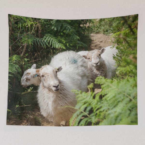 Artikelvorschau, Sheep Surprise entworfen und verkauft von heidipics.
