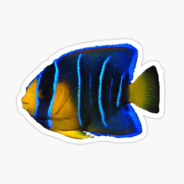 Item preview, Tropical Fish designed and sold by DoodleDashCollective.