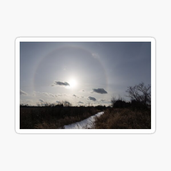 Aperçu de l'œuvre Sun Halo - un magnifique phénomène optique dans le ciel d'hiver créée et vendue par Georgia Mizuleva.