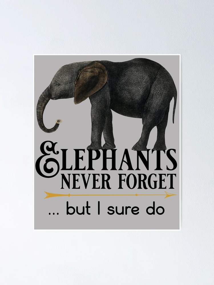 Elephants never forget | Poster