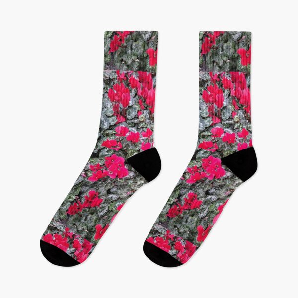 Item preview, Cyclamen Flower Plant designed and sold by palaco210.