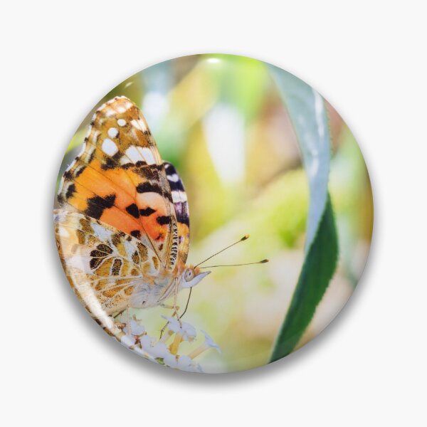 Item preview,  Umi Butterfly Nature lovers Photography  designed and sold by Jumaima.