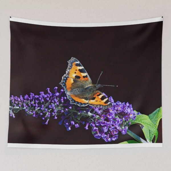 Item preview, Tortoiseshell Butterfly designed and sold by carrizizi.