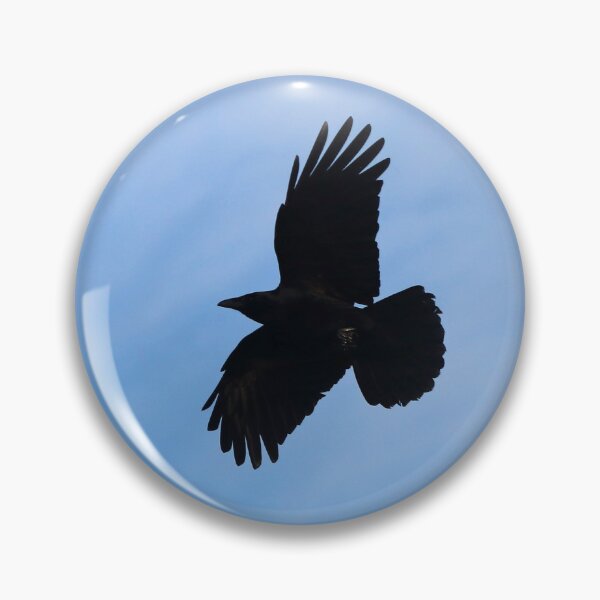 Item preview, Carrion crow in flight designed and sold by GreyFeatherPhot.