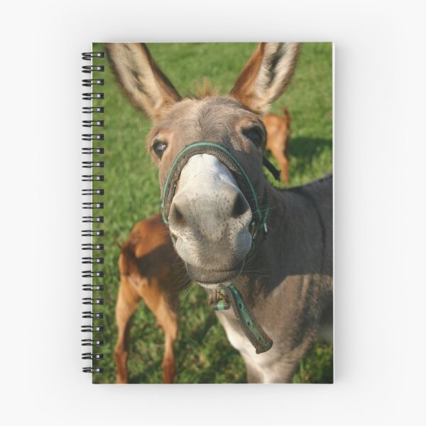 Item preview, Why the long face? designed and sold by honeneko.