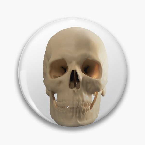 Item preview, Human skull designed and sold by Simon Bugler.