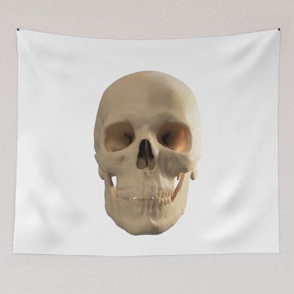 Item preview, Human skull designed and sold by Simon Bugler.