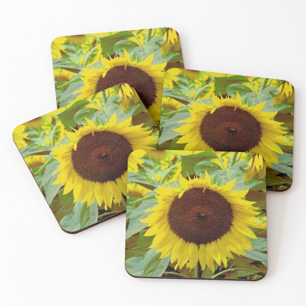 Item preview, Sunflower Close-up 1 designed and sold by Duane  Gamble (Creative Photo Products).