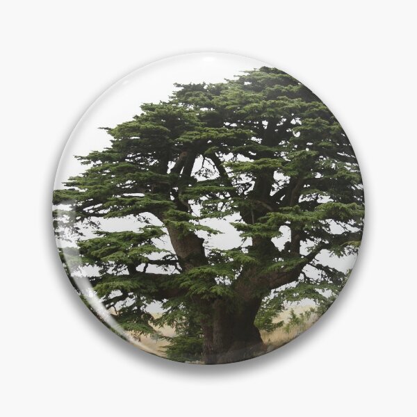 Item preview, Lebanon Cedar designed and sold by dkaranouh.
