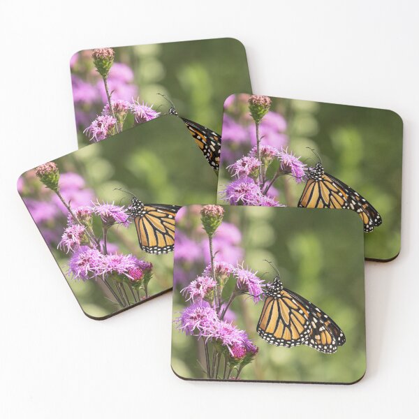 Item preview, Fall Monarch 2016-8 designed and sold by Thomasyoung.