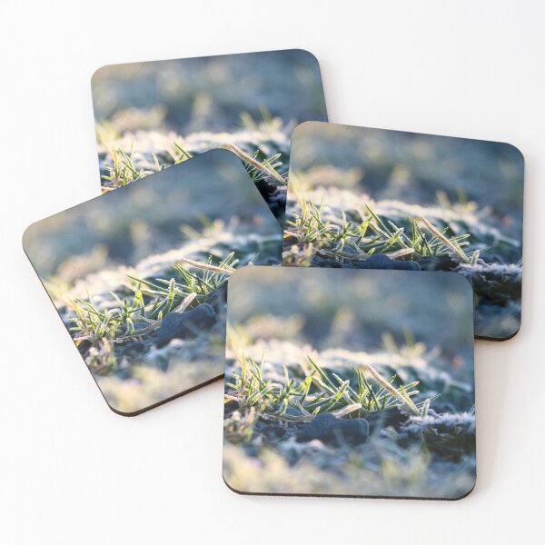 Item preview, Frosty start designed and sold by GreyFeatherPhot.