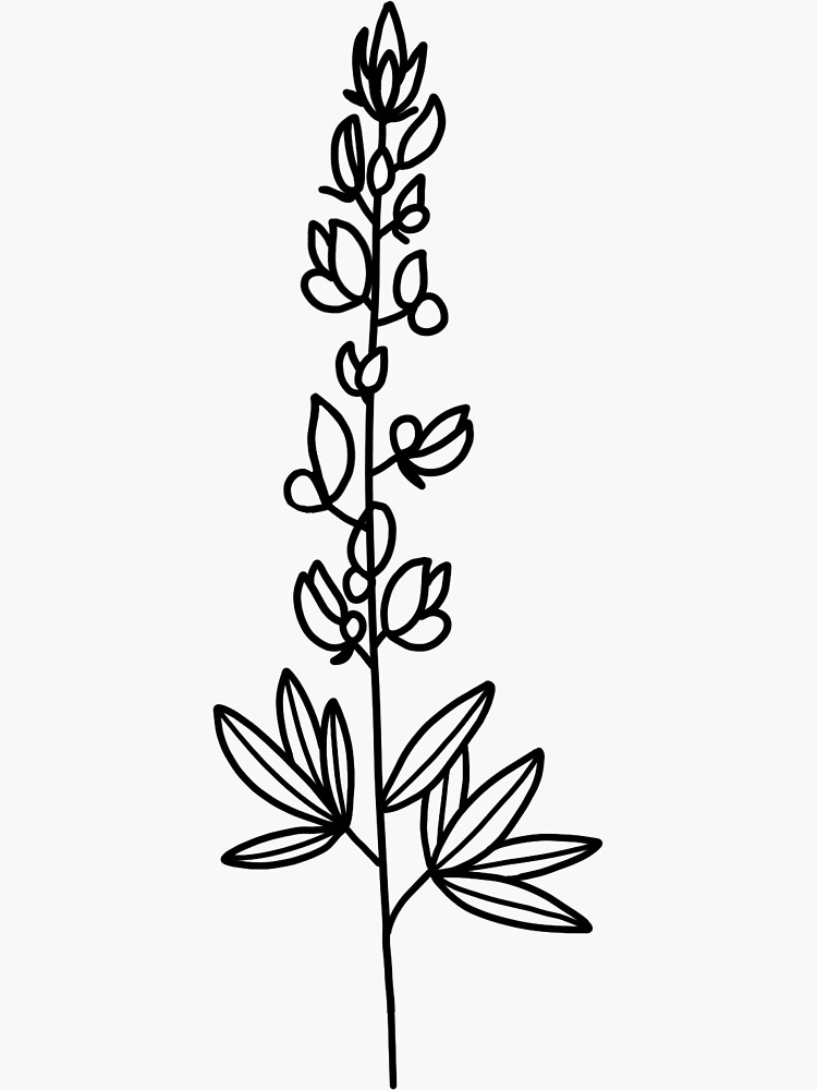 Bluebonnet Flower coloring page | Free Printable Coloring Pages